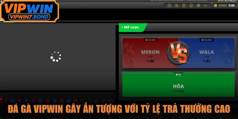 Đá gà VIPWIN gây ấn tượng với tỷ lệ trả thưởng cực cao